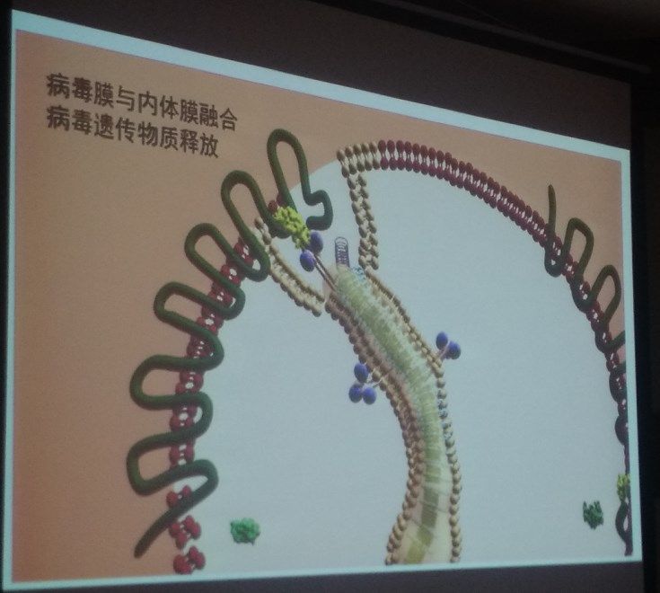 点击查看大图
